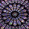 Notre Dame De Paris Stained Glass Wallpaper