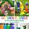 Outdoor Summer Kids Crafts