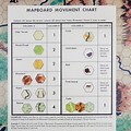 Outdoor Survival Movement Chart