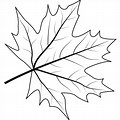 Outline of a Leaf Tree Cartoon