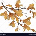 Oak Leaves On Branch Vector