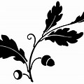 Oak Leaf Design Black and White