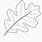 Oak Leaf Drawing Template