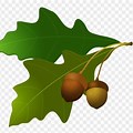 Oak Leaf and Acorn Clip Art