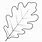 Oak Tree Leaf Outline