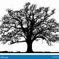 Oak Tree Silhouette Clip Art