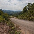 Off-Road Path in Jungle