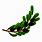 Olive Branch Icon Transparent