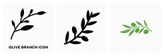 Olive Branch Icon with No Background