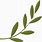 Olive Leaf Vector Art