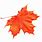 Orange Canadian Maple Leaf