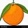 Orange Fruit Animated