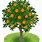 Orange Tree Vector