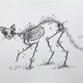 A Cat Skeleton Hanging On Cartoon