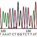 A Line Graph of DNA Sequencing