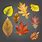 Autumn Leaves Vector