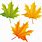 Autumn Maple Leaf Clip Art