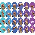 ABC Sign Language Cards