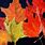 Acrylic Painting Fall Leaves