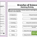 Activity for Teaching Branches of Science Worksheet