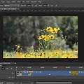 Adobe Photoshop Video Editing