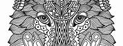 Adult Coloring Books Wild Animals