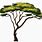 Africa Tree Clip Art