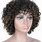 African American Curly Human Hair Wigs