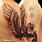 African Angel Tattoo