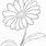 African Daisy Drawing