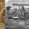 Agricultural Revolution Great Britain