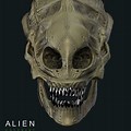 Alien Skull Concept Art