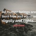 All Human Beings Being Born Equal Picture