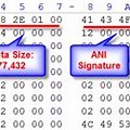 Ani File Format