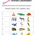 Animal Classification Chart for Kids Worksheet