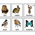 Animal Flash Cards Print Out