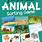 Animal Preschool Games