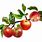 Apple Branch Clip Art