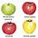 Apple Types Fruit