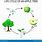 Apple Tree Life Cycle Diagram