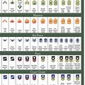 Army National Guard Officer Ranks