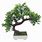 Artificial Bonsai Tree