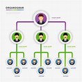 Business Team Organogram