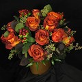 Burnt Orange Roses