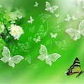 Butterfly Background Green Wallpaper Watercolor