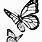 Butterfly Drawing Pages