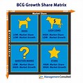 BCG Matrix of Adani Group