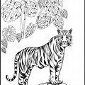 Back to School Safari Coloring Pages