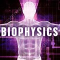 Background for PPT Biophysics