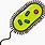 Bacteria Cell Clip Art